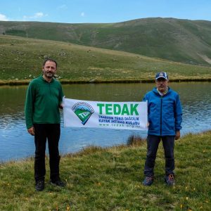 tedakikizderedipsizgölpazarfaaliyeti-19