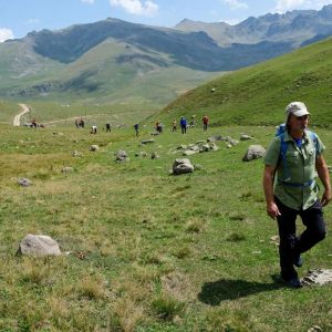 tedakikizderedipsizgölpazarfaaliyeti-20